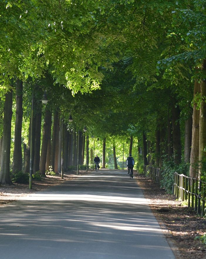 Eine grüne gepflasterte Promenade wo zwei Radfahrern entlang fahren